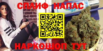 ешки Обь